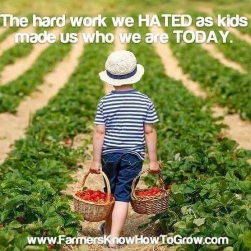 FB_IMG_1658303573407