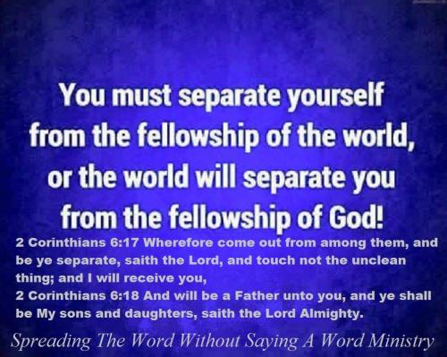 12191179_952675691481229_9197653215353973958_o