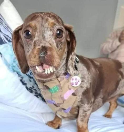 FB_IMG_1659062779282