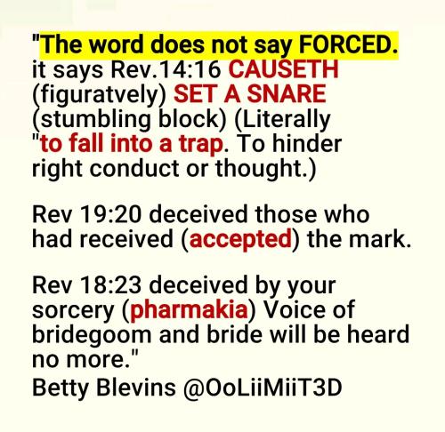 Screenshot_2022-08-01-10-15-39-951_cn.wps.moffice_eng~2