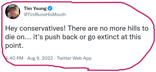 snapshot_twitter.com_1660087226021