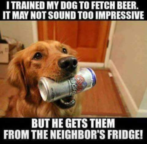 Screenshot_20220812-203831~2