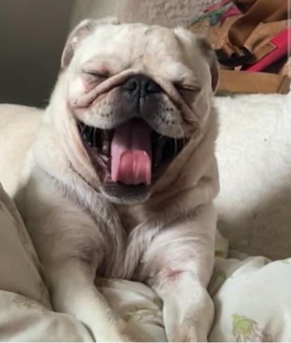 22:44:03 GMT-0500 (CDT)