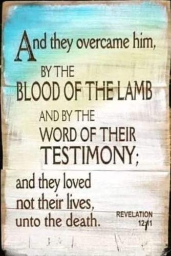 FB_IMG_1661114189281