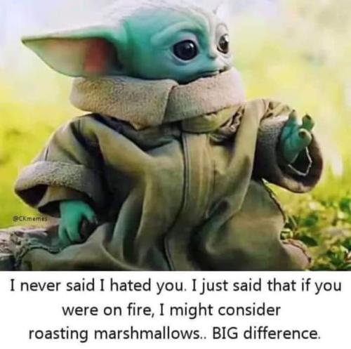 FB_IMG_1660140385096