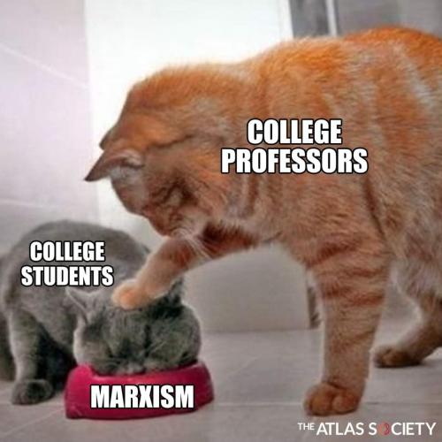 FB_IMG_1660253270110