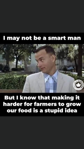 13:02:36 GMT-0400 (EDT).image