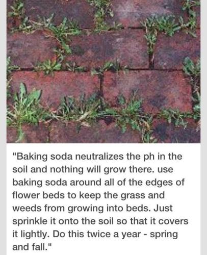 298397016_5252567591505108_4792018526776766343_n