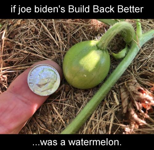 buildbackbetter72