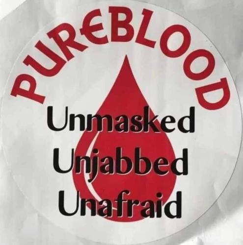 FB_IMG_1661479565350