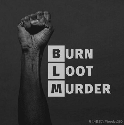 image_1642511224.097