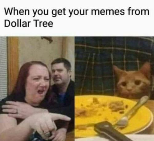 IMG_20220821_133049_557