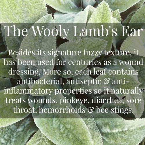 05:23:32 GMT-0500 (CDT)