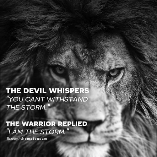 275278635_108487705119733_6163742809029438112_n