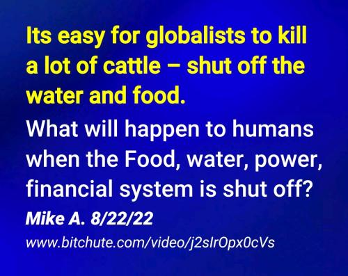 Screenshot_2022-08-23-12-27-18-490_cn.wps.moffice_eng~2