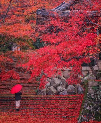 297097968_579764757111333_6109903928054262234_n