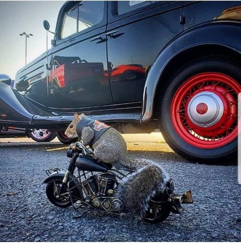 295985703_7741450545925439_3770704616195751082_n