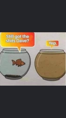 300176372_5766746216691461_4113831617719868321_n