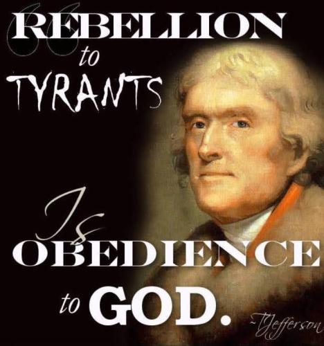 Screenshot_20201124-204149_Wimkin