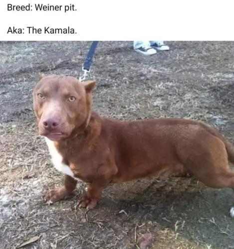 FB_IMG_1661364867987