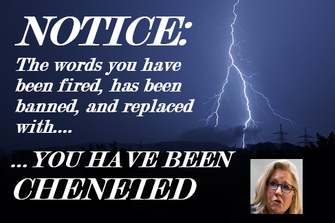 YOU HAVE BEEN CHENEIED