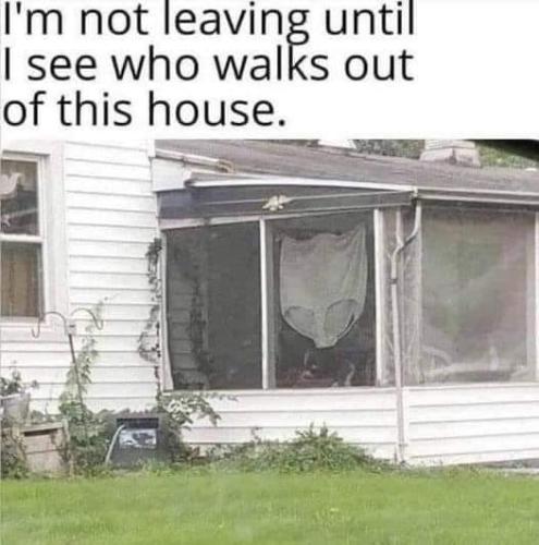 FB_IMG_1660877445813