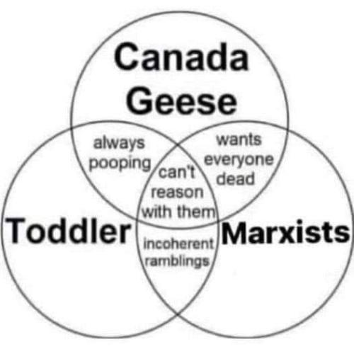 FB_IMG_1661138547819