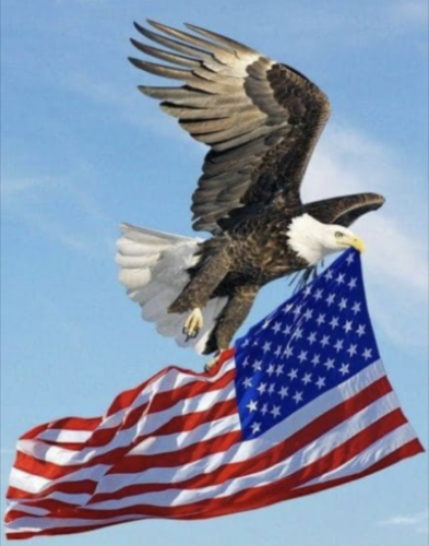 Screenshot_20220803-163731~2