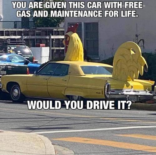 FB_IMG_1659817627520
