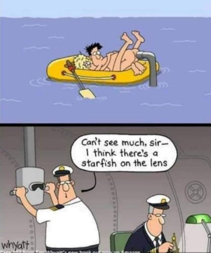 297221336_168722482348665_65191231759999990_n