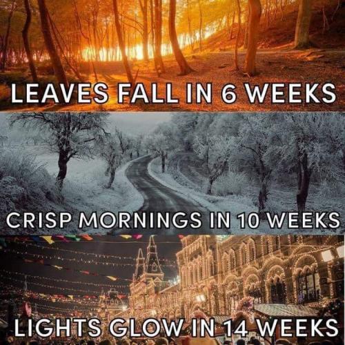 FB_IMG_1660951524052