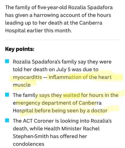 FB_IMG_1659411273302