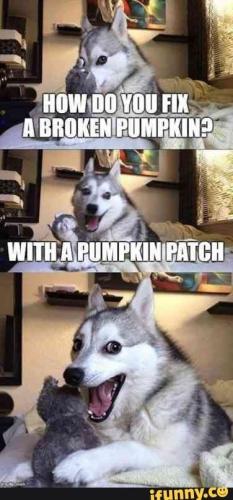 73f7b224-d2eb-44ca-9799-7b4c99b50e28