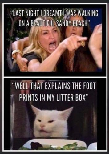 302204722_1209201836317748_3349407921086988864_n