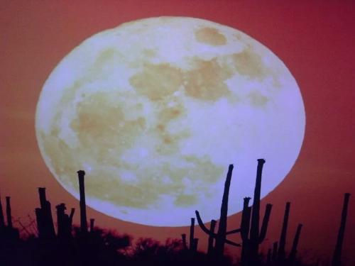 PnWnStq_PPef25nwLNYZpg