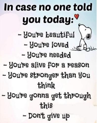 301134563_145912904791298_3936604576874522486_n