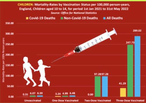 IMG_20220806_081010_694
