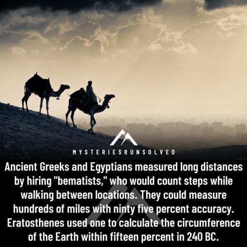 299719292_1632674263781619_7297733129020053403_n