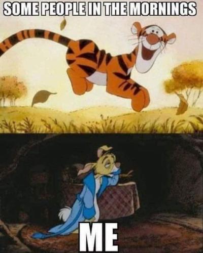 FB_IMG_1661406474316