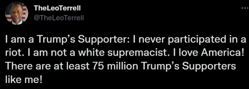 Trump Supporter 1