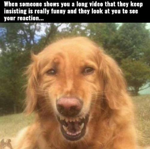 14102337_1089722964398907_8722884300642758117_n