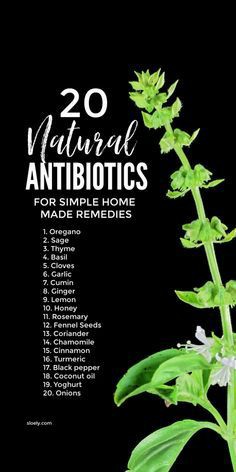 20:15:55 GMT-0500 (CDT)