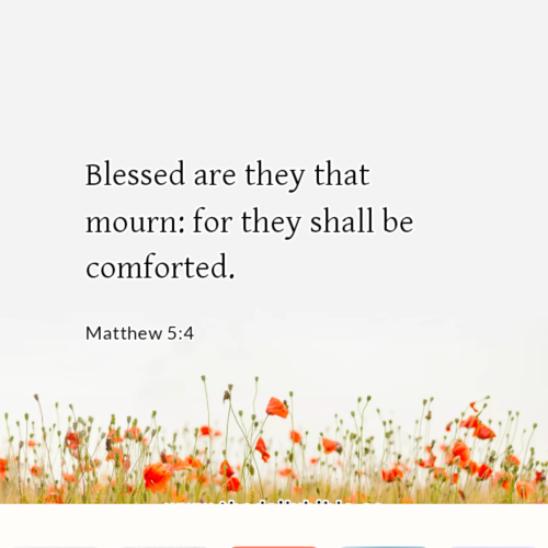 dailybible_20220821-153504_Matthew_5-4