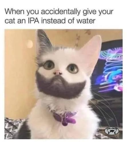 FB_IMG_1660596529093