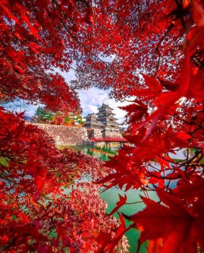 295687645_576909320730210_7059948339494022113_n