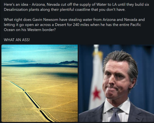 Newsom 1