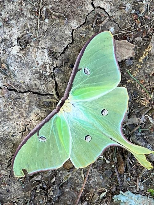 5B8B871A-15AB-493E-B26D-32F1AF17B0F7