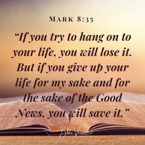 FB_IMG_1660756642000