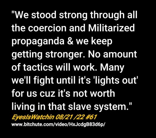 Screenshot_2022-08-22-19-30-52-965_cn.wps.moffice_eng~2