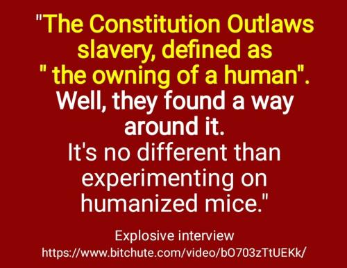 Screenshot_2022-08-06-18-31-09-175_cn.wps.moffice_eng~2